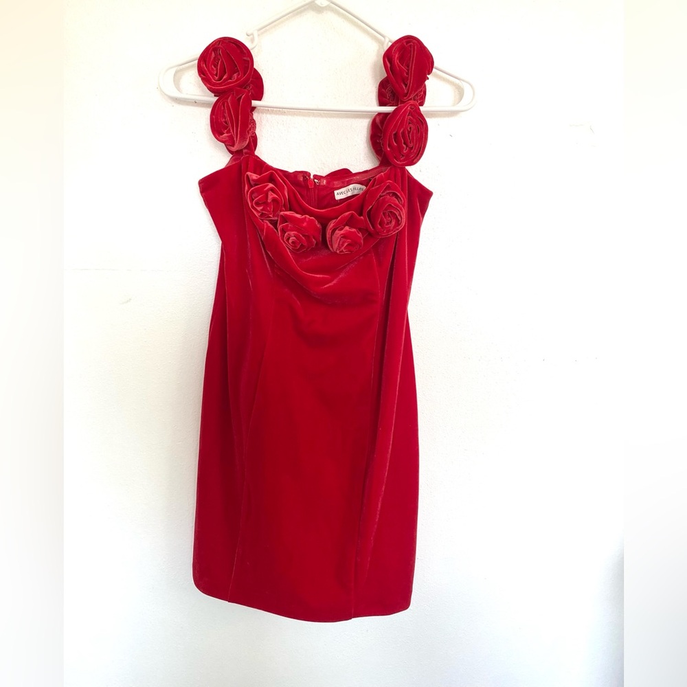 Elegant Small Red Velvet Dress with Rose Accents